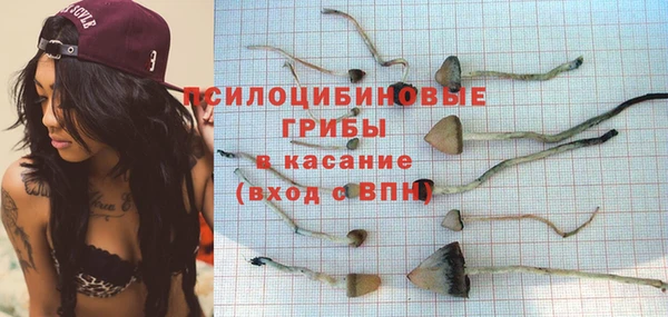 apvp Абдулино